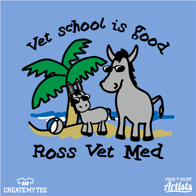 Vet School, Vet School is Good, Ross Vet Med, Donkey, Baby Donkey, Beach