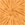 Texas Orange