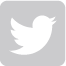 Twitter Logo