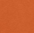Burnt Orange