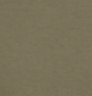 Coyote Brown