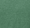 Heather Kelly Green