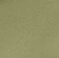 Olive Drab Green