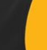 Black/Gold