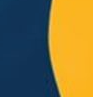 Navy/Gold