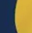 Navy/Gold