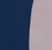 Navy/White