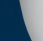 Navy/White