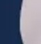 Navy/White