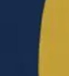 Navy/Gold