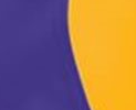 Purple/Gold