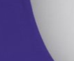Purple/White