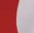 Scarlet/White