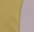 Vegas Gold/White
